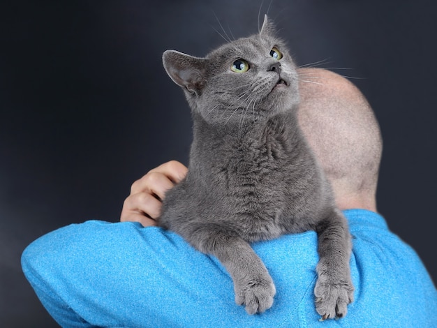 Gatto grigio seduto sulla spalla di un uomo
