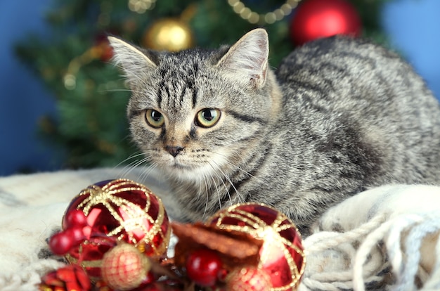 Gatto in orpelli celebrativi sullo sfondo dell'albero di Natale