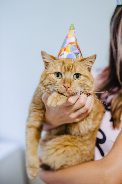 Gatto in un cappello festivo