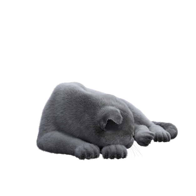 gatto isolato su sfondo bianco, illustrazione 3D, rendering cg