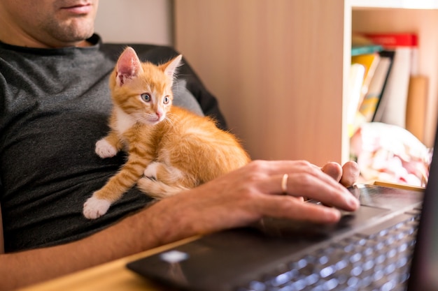 Gatto sul laptop che lavora a casa con un animale domestico