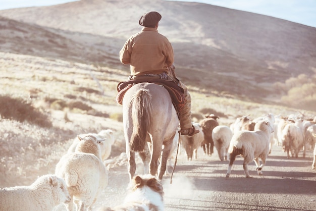 Gauchos ahd gregge di capre nelle montagne della Patagonia, Argentina