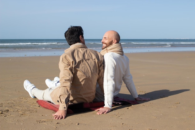 Gay sorridenti che chiacchierano sulla costa. Vista posteriore di uomini di mezza età positivi seduti sulla sabbia alla data. Concetto di partner omosessuali