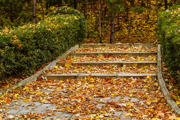 Gazebo nel parco d'autunno