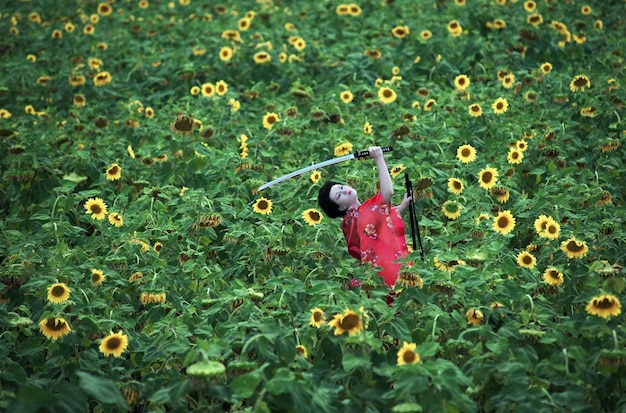 Geisha nel campo dei girasoli