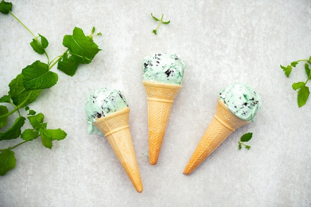 Gelato alla menta con gocce di cioccolato