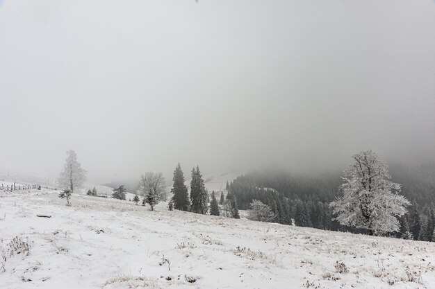 Gelida giornata invernale in montagna