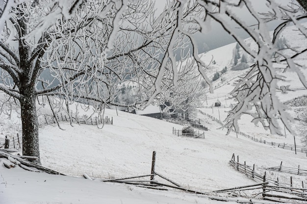 Gelida giornata invernale in montagna