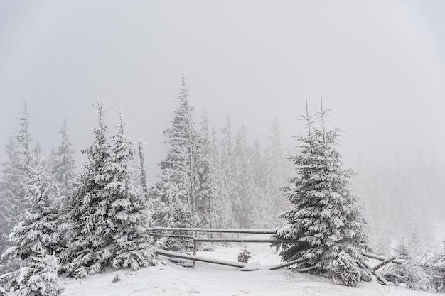 Gelida giornata invernale in montagna