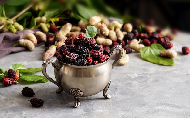 Gelso rosso e nero o Morus, un genere di piante da fiore della famiglia delle Moraceae