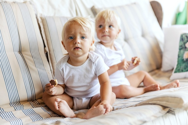 Gemelli del bambino sul divano che mangiano biscotti. I bambini carini nel corpo del bambino bianco tengono una torta in mano sul divano. Guardano pensierosi dove sono i loro genitori. Capelli chiari, occhi azzurri, bambini piccoli