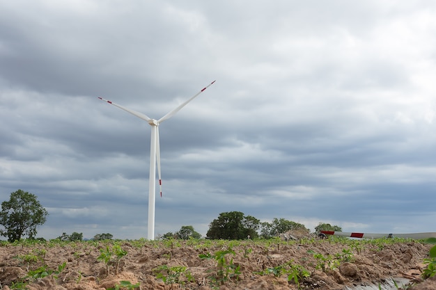 Generatore di turbine eoliche