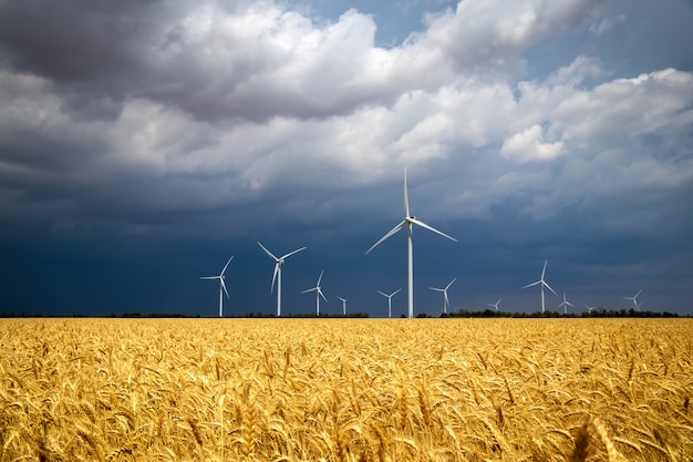 Generatori eolici e campo agricolo un giorno nuvoloso di estate. Produzione di energia, energia pulita e rinnovabile.