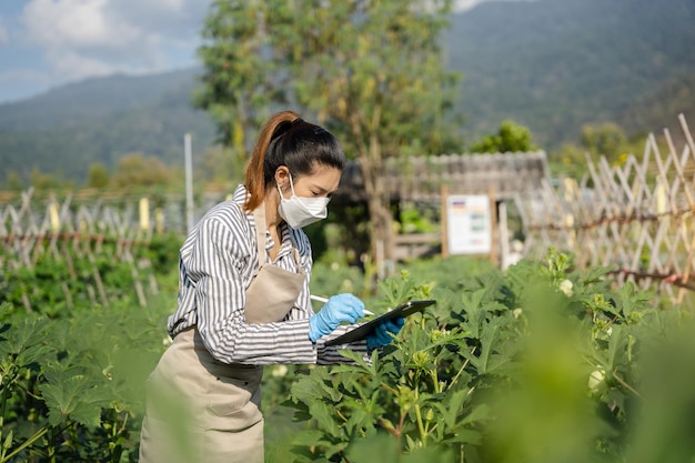 Genetisti, biologi e scienziati stanno studiando la struttura genetica delle verdure in una serra