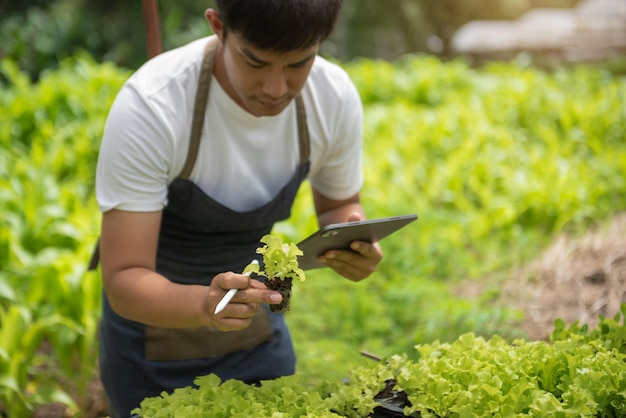 Genetisti, biologi e scienziati stanno studiando la struttura genetica delle verdure in una serra.