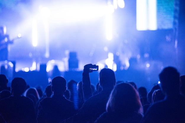 Gente che si diverte a un concerto musicale