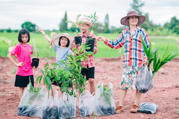 Gente di famiglia felice che tiene la semina dell'albero per piantare in giardino su un campo di riso verde biologico