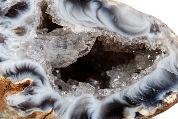 Gerbera del rene dell'agata di pietra minerale macro su fondo bianco si chiuda