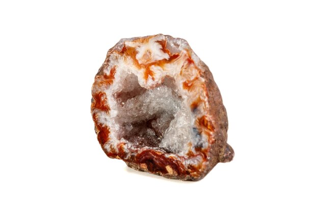 Gerbera del rene dell'agata di pietra minerale macro su fondo bianco si chiuda