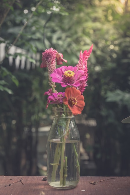 Gerbera fiori in vaso adornati in bellissimi colori vintage