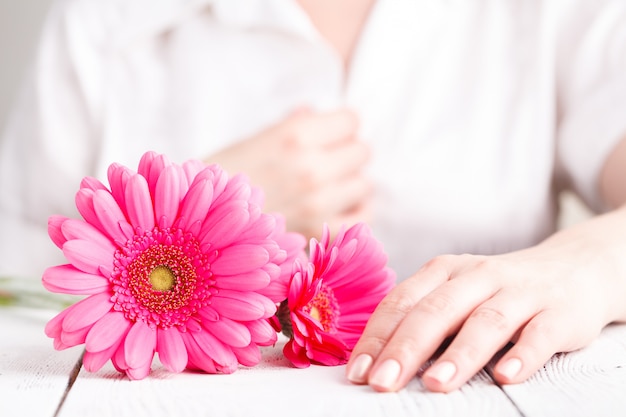 Gerbera rosa del fiore in mani femminili, fine sul concetto femminile di cura di vista