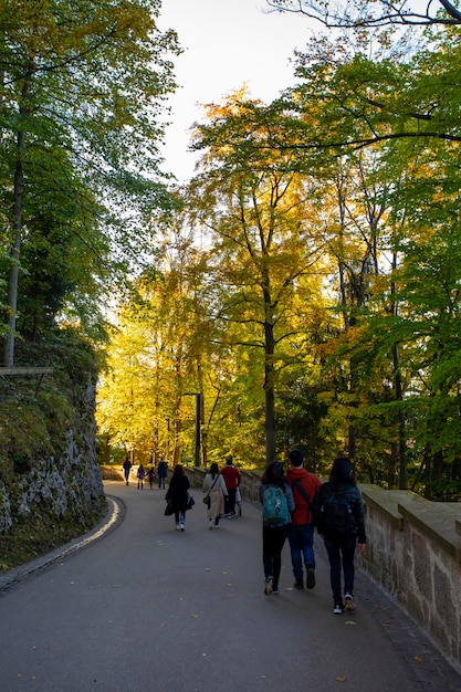 Germania Castello di Neuschwanstein sentiero forestale di aceri autunno sentiero forestale di acero