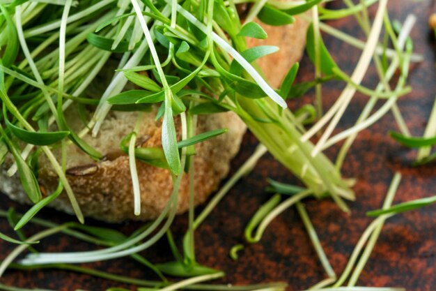 Germogli di coriandolo micro verdure fortificate cibo vegetariano su piastra in ceramica marrone close-up macrofotografia