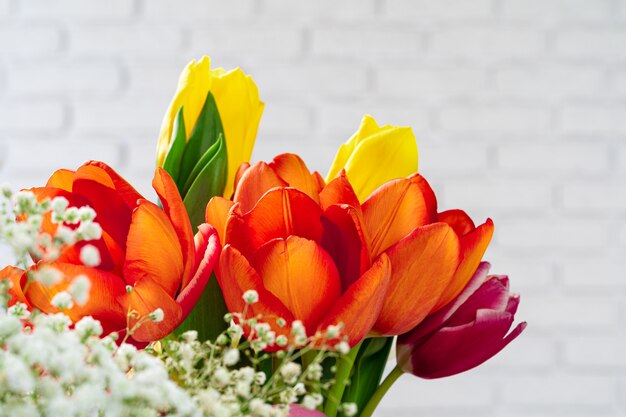 Germogli freschi del tulipano della molla contro la fine bianca del muro di mattoni su