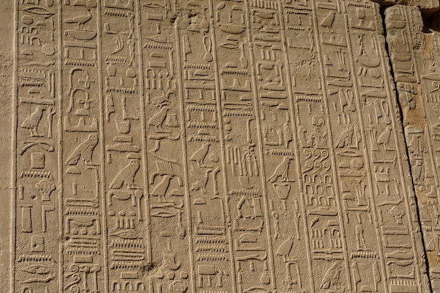 Geroglifici antichi egiziani sul muro di pietra