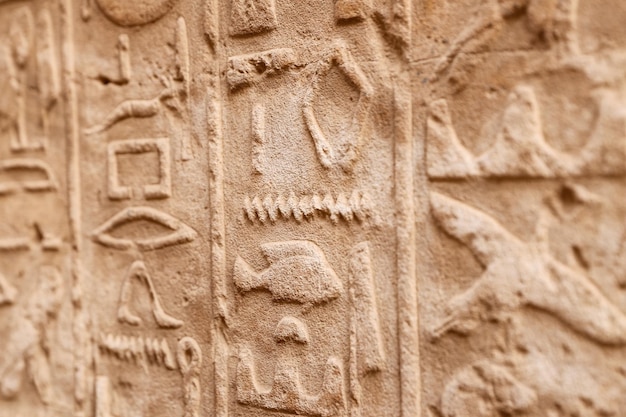 Geroglifici nel tempio di Karnak Luxor Egitto