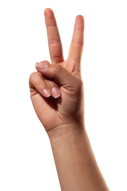 Gesto della mano v o pace nella lingua dei segni Isolato su sfondo bianco Segno V con mano femminile