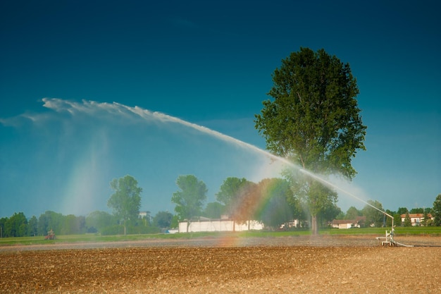 Getto d'acqua per irrigare campi agricoli