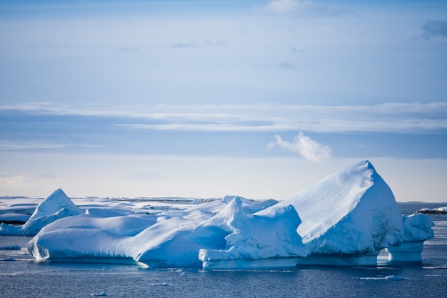 Ghiacciaio antartico