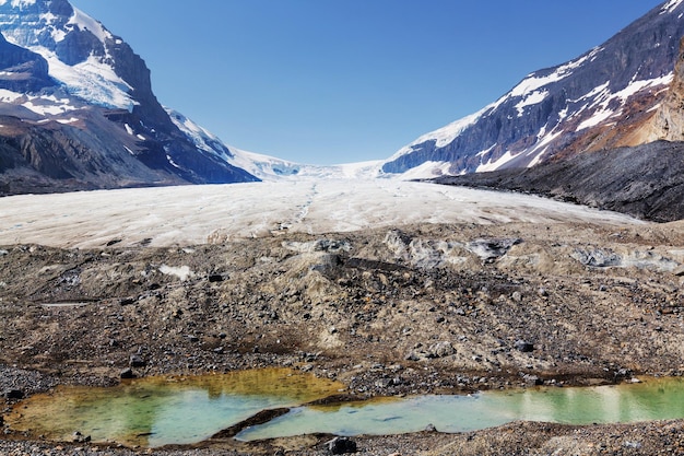 Ghiacciaio dell'Athabasca