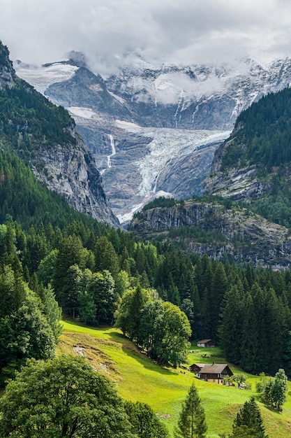 Ghiacciaio di Grindelwald