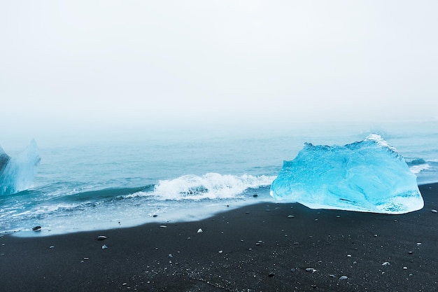 Ghiaccio blu sulla spiaggia vulcanica nera. Spiaggia di ghiaccio di Jokulsarlon, Islanda.