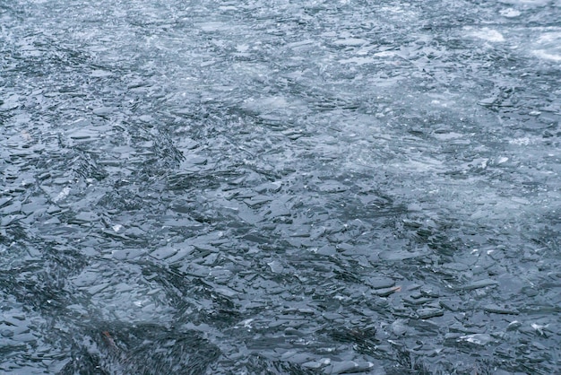 Ghiaccio rotto grigio scuro nell'acqua fredda