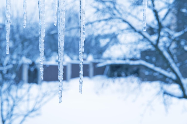 Ghiaccioli appesi al tetto Concetto di stagione invernale fredda