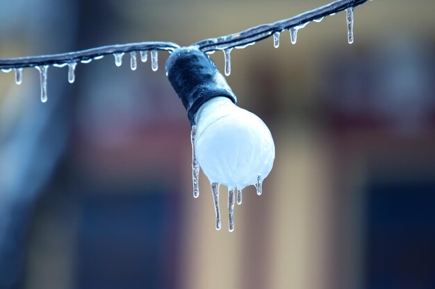 Ghiaccioli su lampade per l'illuminazione stradale congelate inverno stagione dettagli interni strada oggetto di elettricità