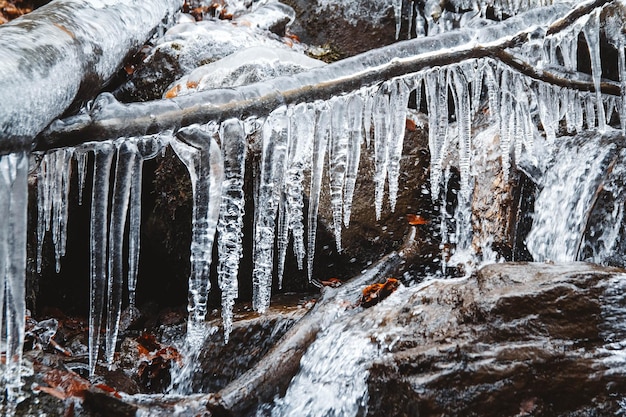 Ghiaccioli su un ramo sullo sfondo di un fiume di montagna