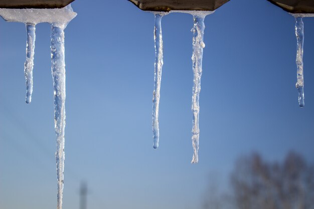 Ghiaccioli sullo sfondo del cielo azzurro.