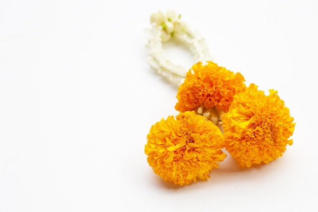 Ghirlanda di gelsomino con fiore di marigold su sfondo bianco