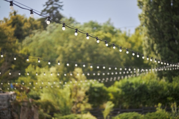 ghirlanda di lampadine sullo sfondo degli alberi Decorazione della lampadina festa all'aperto