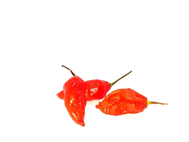 ghost pepper (bhut jolokia) isolato su sfondo bianco.