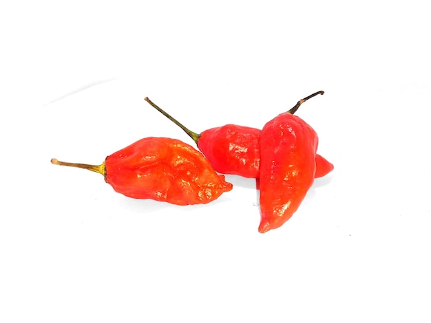 ghost pepper (bhut jolokia) isolato su sfondo bianco.