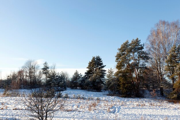 Giacente neve dopo l'ultima nevicata