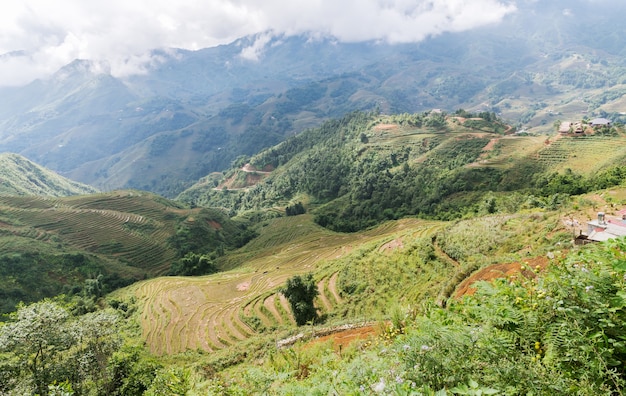 Giacimento a terrazze del riso dopo il raccolto sulla montagna in Sapa, Vietnam