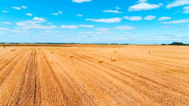 Giacimento di grano dopo il raccolto con le balle di paglia al tramonto