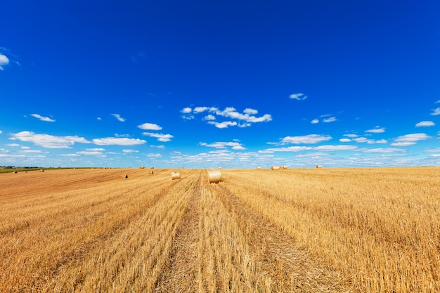 Giacimento di grano dopo il raccolto con le balle di paglia al tramonto