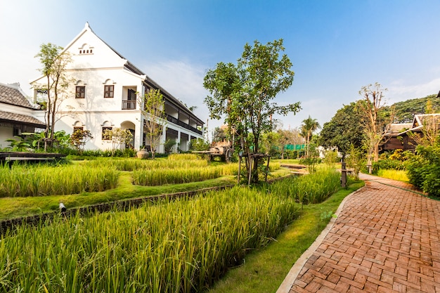 Giacimento verde nella villa, Tailandia del riso